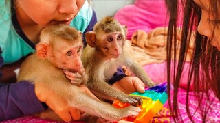 Most Happiness!! Tiny Toto Yaya Mom & Sister are happily playing the Pop-Up game together