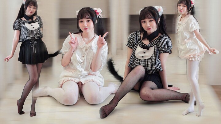 Black and white light cat, chubby little hamster... three bottles of love poison in one go! [Meow Mo