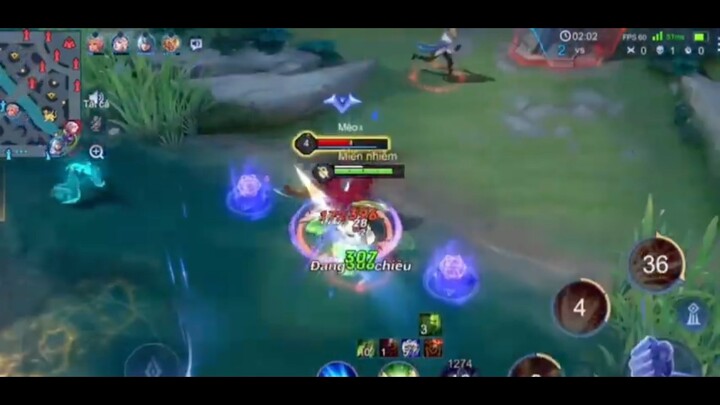 Hightlight flo top lqmb p1