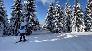 SKI TRIP | Havas Bucsin -  Harghita, ROMANIA