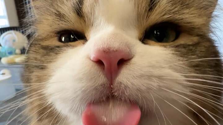 إذن... بس ما هو حجم براعتك حقًا؟