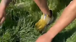 哦→_→是JOJO粉，那没事了