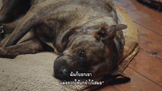 Bring Your Own Brigade (2021) [ซับไทย]