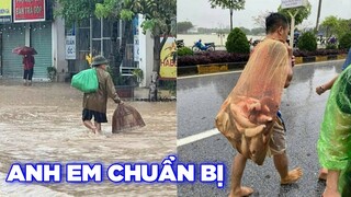 Người dân mang đồ ra đường phố bắt cá - Top comment hài hước Face Book.