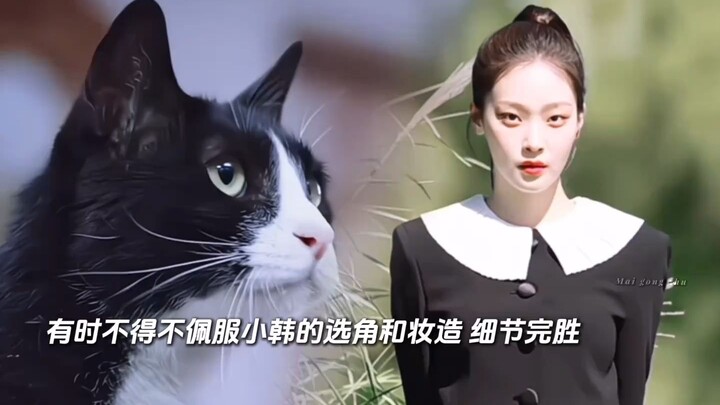 Hanya yang pernah memelihara hewan peliharaan yang paham betapa berharganya drama Korea kecil ini sa