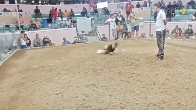 panalo bulik ntn kht naunahan pa talo kalaban sa basaan