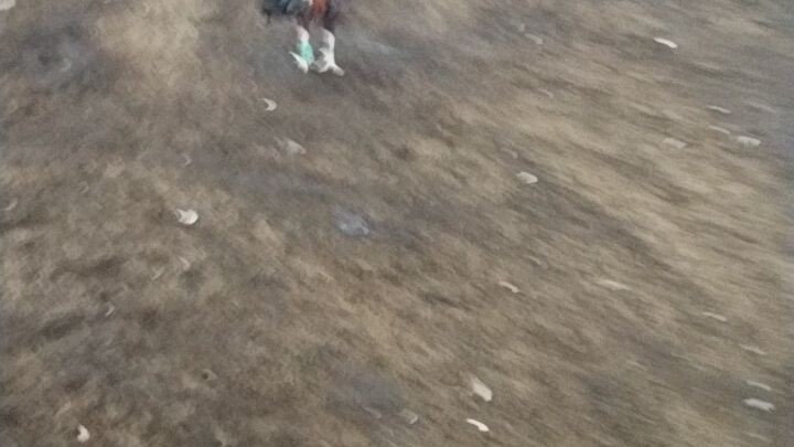 mas masipag Yong ating manok