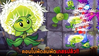 คอมโบพัดลมพัดเกสรปลิว Plants vs Zombies 2