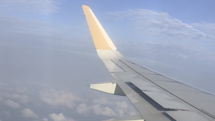 fly