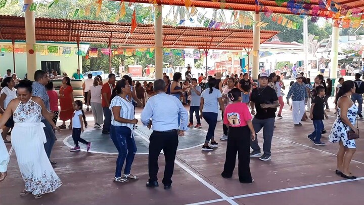 LAS PALMERAS (Grupo Los Dorados y su Estilo Arrecho)