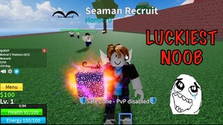 Finding SOUL FRUIT with a LVL 1 ACCOUNT in BLOXFRUITS
