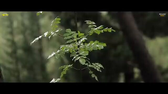 অতিরিক্ত চিন্তা বন্ধ করো