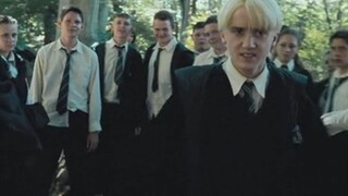 Do all of you Slytherins walk in such a handsome way? There is nothing you can’t step on!