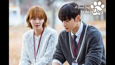 A Good Day to Be a Dog [Arabic]-S1E3-480P الترجمة العربية