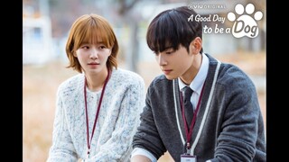 A Good Day to Be a Dog [Arabic]-S1E1-480P الترجمة العربية