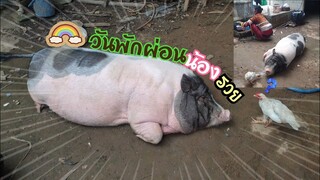🐖น้องรวยกับ👵คุณยายใช้ชีวิตแบบเรียบง่ายสบายๆ🥰