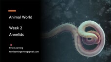 การจำแนกสัตว์กลุ่ม Annelids
