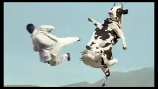 human vs cow new funny ðŸ¤£