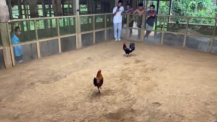 5x na yung bihag namin 😁