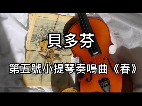 Beethoven Violin Sonata No.5 Op.24 “Spring “ in F major 貝多芬 F大調第五號小提琴奏鳴曲 春天 交響情人夢 のだめカンタービレ