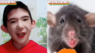 شو كه وبي تا