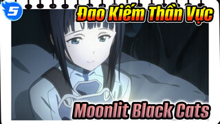 [Kỉ Niệm Đao Kiếm Thần Vực Cut] Cốt Truyện Moonlit Black Cat - Nguyệt Dạ Hắc Mao_5