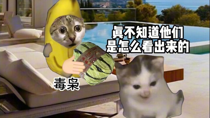 ما هو الحد الأقصى للخطأ الذي يمكن ارتكابه في بيئة العمل؟