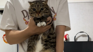 The Tale of the Aquarius Cat