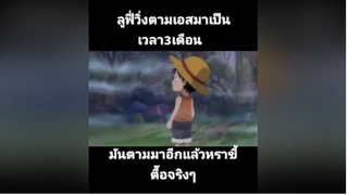 ลูฟี่วิ่งตามเอส