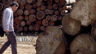 Nó chứng minh đầy đủ rằng sức hấp dẫn của một người đàn ông nằm ở khả năng của anh ta