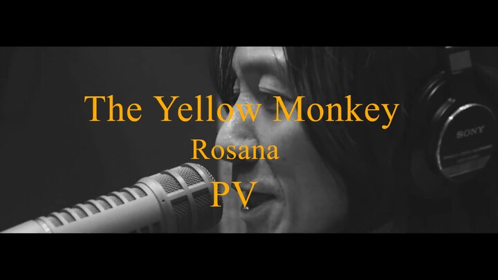 THE YELLOW MONKEY  Rosana