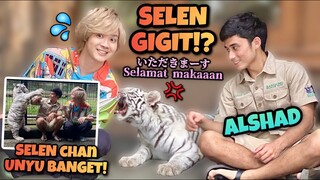 SELEN GA SUKA ORANG JEPANG!? SELEN, HARIMAU PUTIH VIRAL ALSHAD AHMAD UNYUUU!!