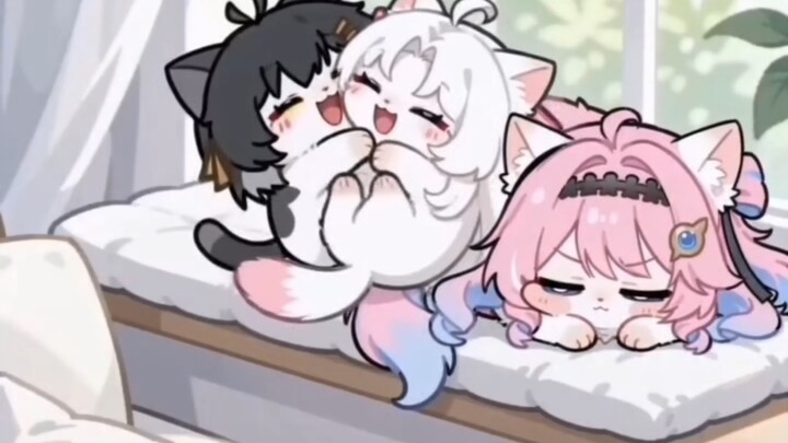 Apakah Daniya kucing kaya?