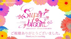 SS4 Superbloom Day 3