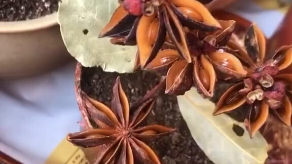 The original appearance of some plants