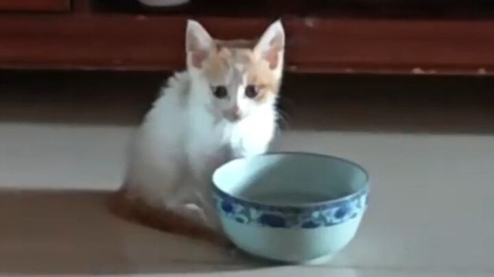 มีมี: เกือบถูกตัดสินประหารชีวิตแล้ว