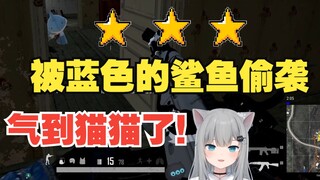 甘城猫猫被蓝色的鲨鱼偷袭！这很坏了！
