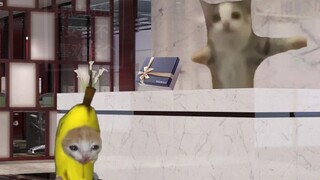 ของขวัญเทศกาลชีซีจากแมวกล้วย นางฟ้าไม่ชอบ