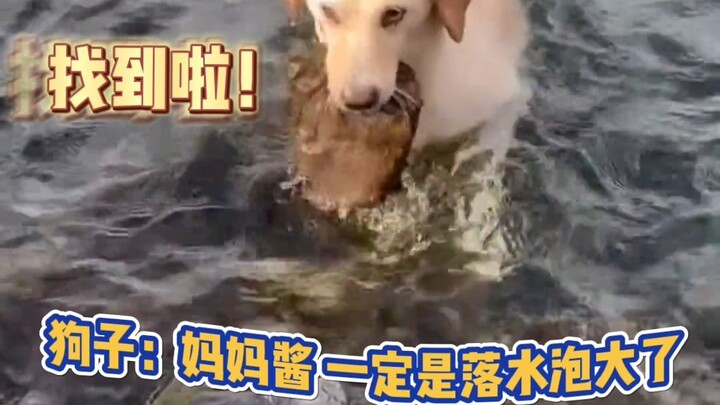 Dog: My eyes are the ruler!