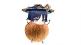 [Genshin Impact] Wanderer: I am a coconut