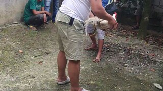 sayang panalo kna sana cnalo mupa yung palo ng klabang..