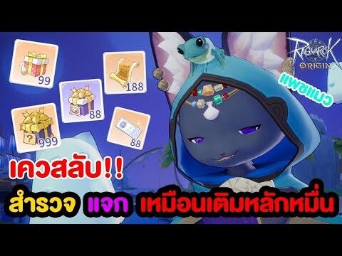 เควสสำรวจ เกาะแมว แจกโคตรเยอะ!! สอนระบบสำรวจ | Ragnarok Origin