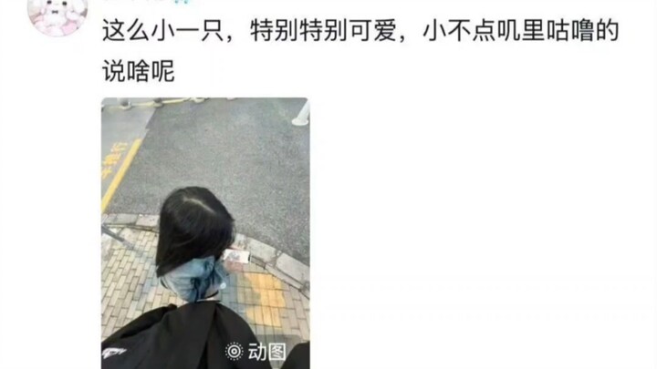 فتاة صغيرة بطول 160 سم تتحطّم برفق 😭