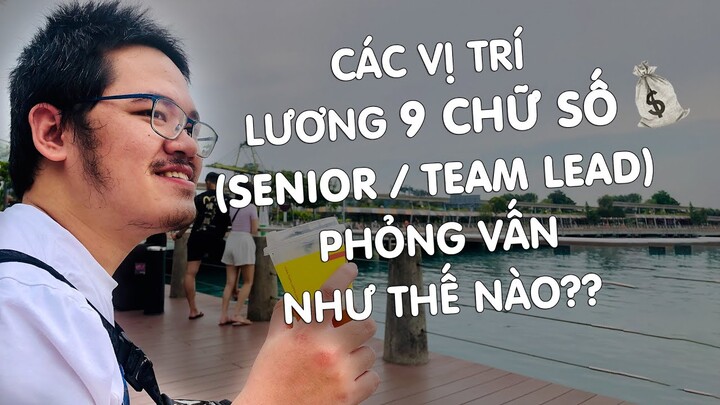 Bạn có biết về Quy Trình Phỏng Vấn các vị trí Senior Dev/Tech Lead lương trăm củ?