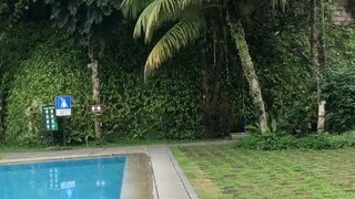 如何应对这些“不确定性”的底气是什么？一直保持好奇心和创造力，就不会面对危机感！