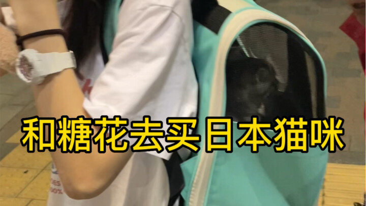 I've found that walking down Japanese streets with a cat guarantees a 100% attention rate—every pass