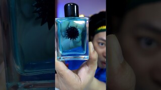 Đồ chơi Nam Châm Lỏng thú vị - Ferrofluid (magnetic liquid) 🧲🤯