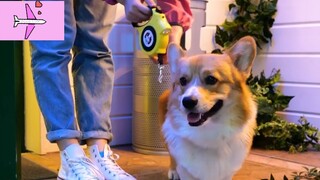 Mẹo hay cuối ngày phần 4 #Mẹo_vặt_cuộc_sống