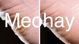 Mẹo hay lắm, nên xem ngay