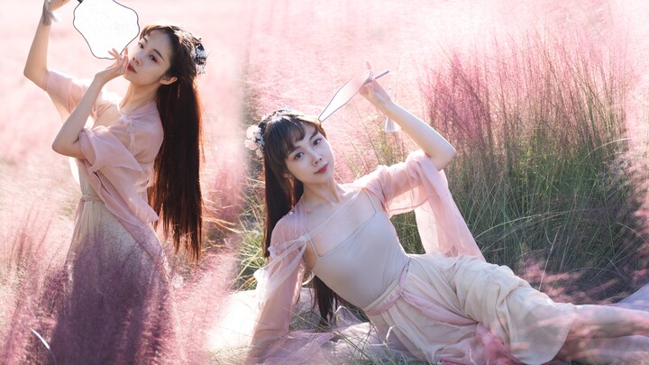 เคยเห็นหญ้าวิเศษไหม? เปลี่ยนฤดูใบไม้ร่วงให้กลายเป็นสีชมพู｜ท่าเต้น "จื้อจวี" บนหญ้าฟุ่มฟายสีชมพูชวนฝั